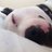 27_hendrix's profile image