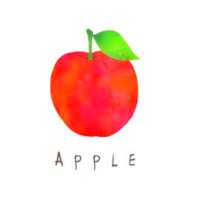 りんご☺︎🍎3歳 (@ringo_to_orange) 's Twitter Profile