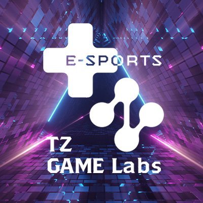 TZ GAME Labs【公式】