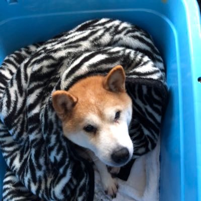 元アカウント復活する事出来ました!このアカウント名前消したくないので、時々こちらも使いたく思ってます。