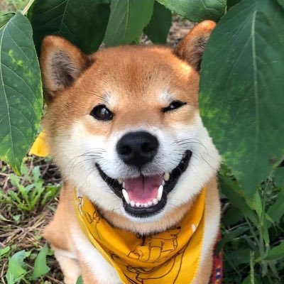 cnshym's profile picture. 404