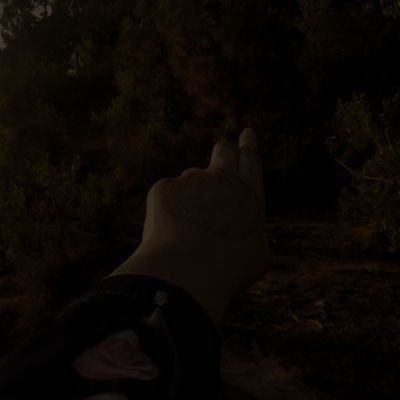 JiyaAbbasi52650's profile picture. What's happening?!