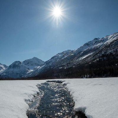 SilverSpring555's profile picture. 