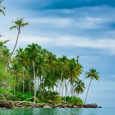 MujebAlkhtany1's profile picture. اللهم صلي وسلم وبارك على سيدنا محمد وعلى آله وصحبه وسلم تسليما كثيرا