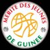 Mérite International de la Jeunesse-GUINEE (@Meritegn) Twitter profile photo