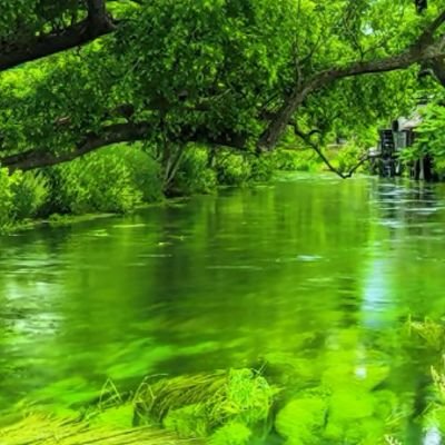 qkiQZAt2i0kV58s's profile picture. よろしくお願いします