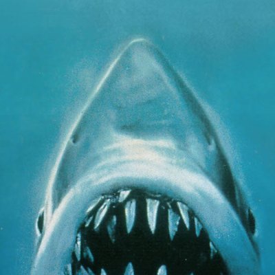 JohnDoh36944562's profile picture. Will not tolerate nonsense .