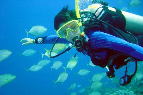Get More Info and Tips Scuba Diving Here...!!