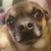 umm (@forgedinfir3) Twitter profile photo umm (@forgedinfir3) Twitter profile photo