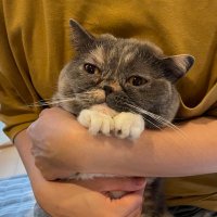 ピーナッツ (@peanuts0121ta) 's Twitter Profile Photo