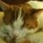 babs239's profile image