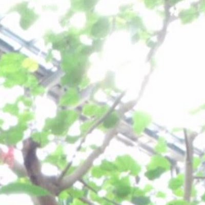 k48217779's profile picture. スフィンクスは紙飛行機の名前です