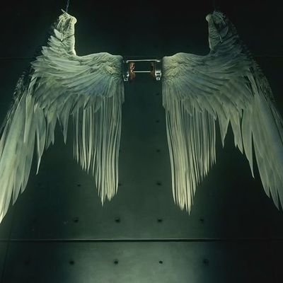 RijulSaini4's profile picture. 