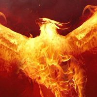 Rebirth DAO (@rebirthdao) 's Twitter Profile