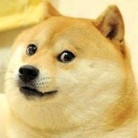 500 currency (@dogesawsak) 's Twitter Profile