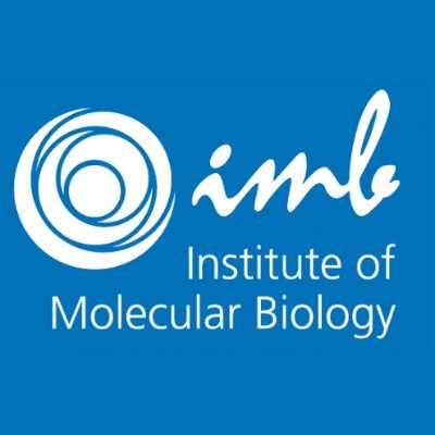 The Institute of #Molecular #Biology (IMB): #epigenetics, #genomeStability, #ageing #developmentalBiology | Imprint: https://t.co/lUPIFPfkQ6