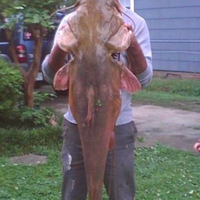 Brain tumors and strokes suck! Got tha love for outdoors. Catfish whitetail buckdeers And my guns!