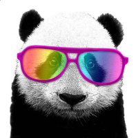 Michal (@michal56774941) 's Twitter Profile