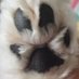 Klye蛮乐 (@mahogany_silver) Twitter profile photo Klye蛮乐 (@mahogany_silver) Twitter profile photo