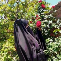 دخترایران🇮🇷 (@_seiiedehzeinab) 's Twitter Profile