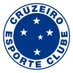 Cruzeiro Futebol Americano 🦊 (@cruzeiro_fabr) Twitter profile photo