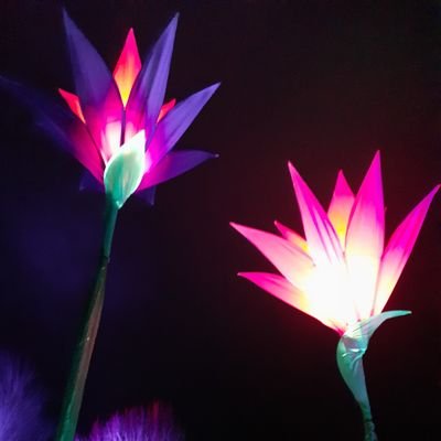 Watchingwithin1's profile picture. pro abortion rights for women