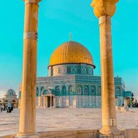 Qudsy (@qudsy81965116) 's Twitter Profile