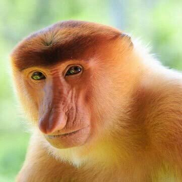 いのうえﾃﾞｽさんのプロフィール画像