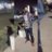Linku41858773's profile image