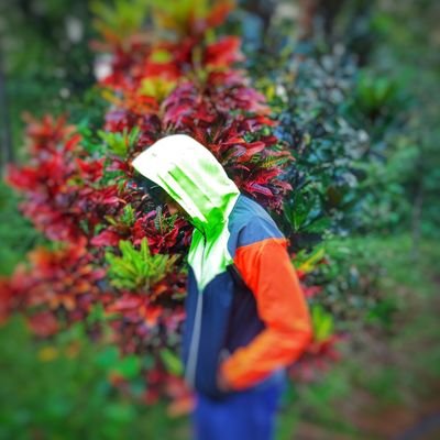 BillavaRohan's profile picture. iOS developer
@Robosoft Technologies