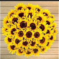 🌻Sunflower🌻 (@amethyst_mandy) 's Twitter Profile