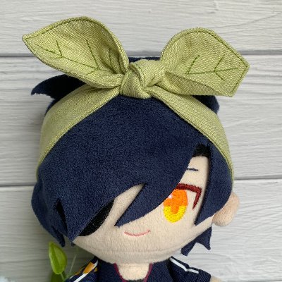 ピントレンズ🌱 (@pintolens) / X