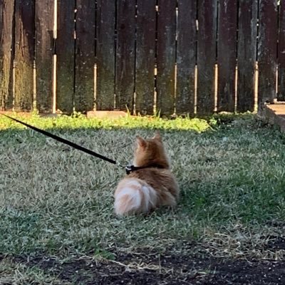 DiaGal10's profile picture. FOLLOW @baesickaylee