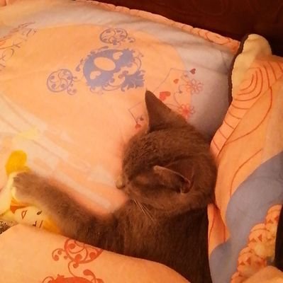 Ale1865's profile picture. ❤️