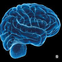 Therapeutic Advances in Psychopharmacology (@tapsychopharm) 's Twitter Profile Photo Therapeutic Advances in Psychopharmacology (@tapsychopharm) 's Twitter Profile Photo