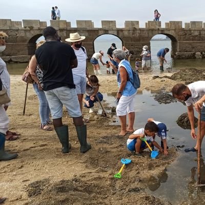 Traballamos de mariscadoras e redeiras. Realizamos Rutas guiadas de Marisqueo en Cambados. Somos mulleres@salgadas.