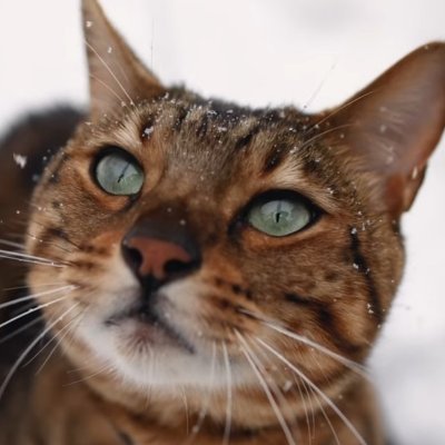 duron900's profile picture. 地味に続けてます…