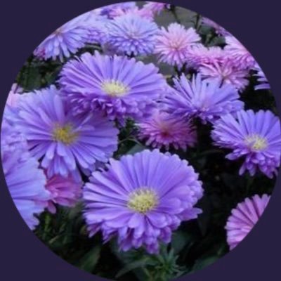 eri94837597's profile picture. 岸優太💜Number_i💜❤️🩵@_yuta_kishi_