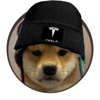 ĐOGEARMY GENERAL (@theteslabull) 's Twitter Profile