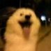 John snow (@johnsnowle) Twitter profile photo John snow (@johnsnowle) Twitter profile photo