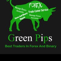 Green pips(@Greenpips7) 's Twitter Profile Photo