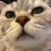 Ooohps (@ooohpps) Twitter profile photo Ooohps (@ooohpps) Twitter profile photo