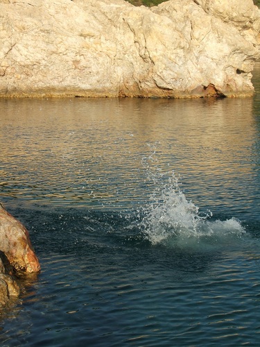 alobarn's profile picture. 