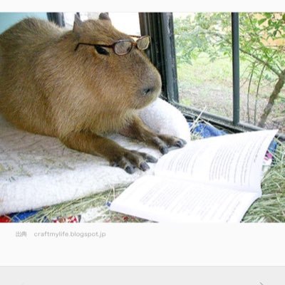 輪廻