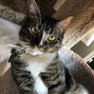 Xio3014's profile picture. Follow my Instagram: xiomara54_