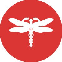 Dragonfly CBD UK (@dragonflycbd) 's Twitter Profile