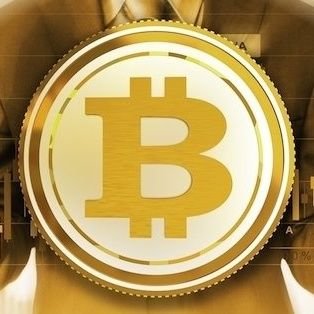 crypto_holder98's profile picture. #bitcoinholder