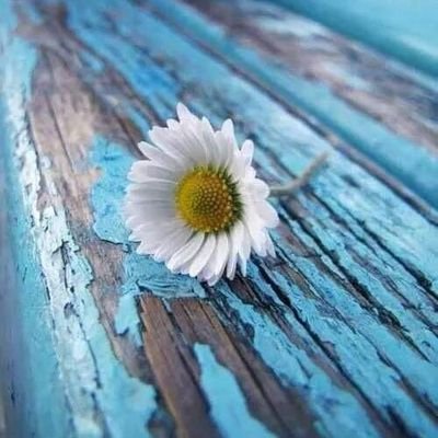 āϏāϤā§āϝā§āϰ āĻāϞ⧠āĻāĻāĻĻāĻŋāύ āĻŽāĻŋāĻĨā§āϝāĻžāĻā§ āϧā§āĻŦāĻāϏ āĻāϰ⧠āĻĻā§āĻŦā§ āĻāύāĻļāĻžāϞā§āϞāĻžāĻš