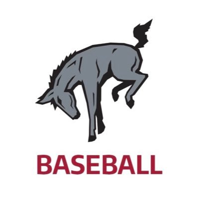 Official account of the Muhlenberg College Baseball program. Proud members of the Centennial Conference and NCAA DIII. #RollMules