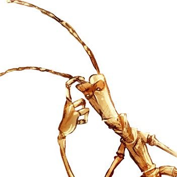 a_stickbug's profile picture. 